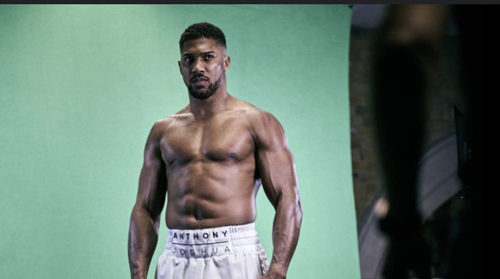 Boksör olmak için ne kadar güçlü olmak gerek? 1 boksor olmak icin ne kadar guclu olmak gerek 0 i6GXb8tA