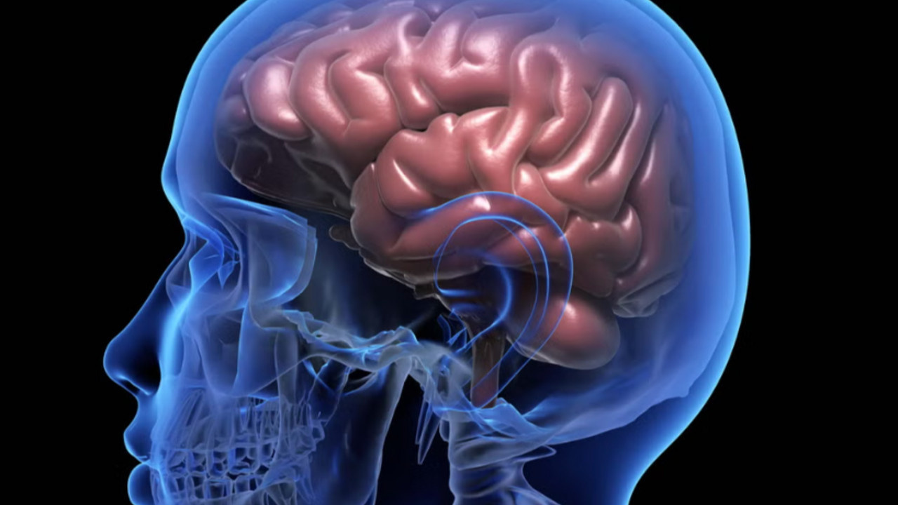 Online beyin idmanları yaşlılarda hafızayı 10 Yıl gençleştirebilir