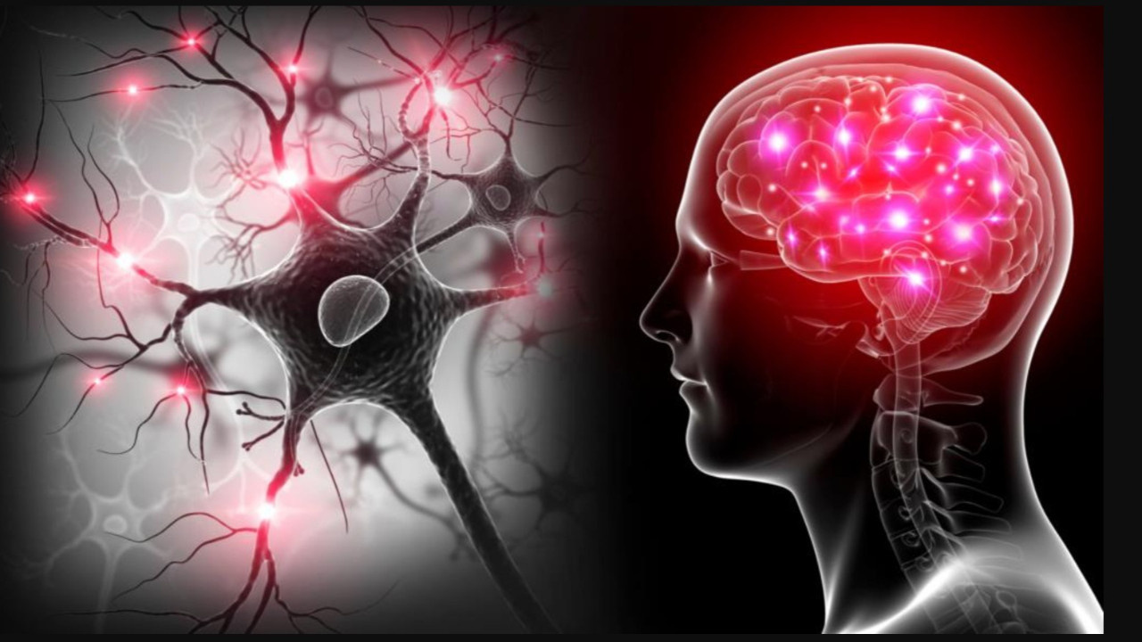 Yapay zekâ, otomotiv üretiminde 2030’a kadar yüzde 30 verimlilik artışı getirecek